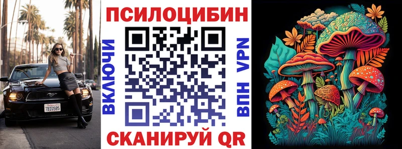 дарнет шоп  Мурино  Галлюциногенные грибы Psilocybe 